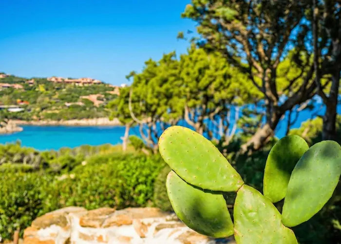 Vista 9 By Interhome * Porto Cervo